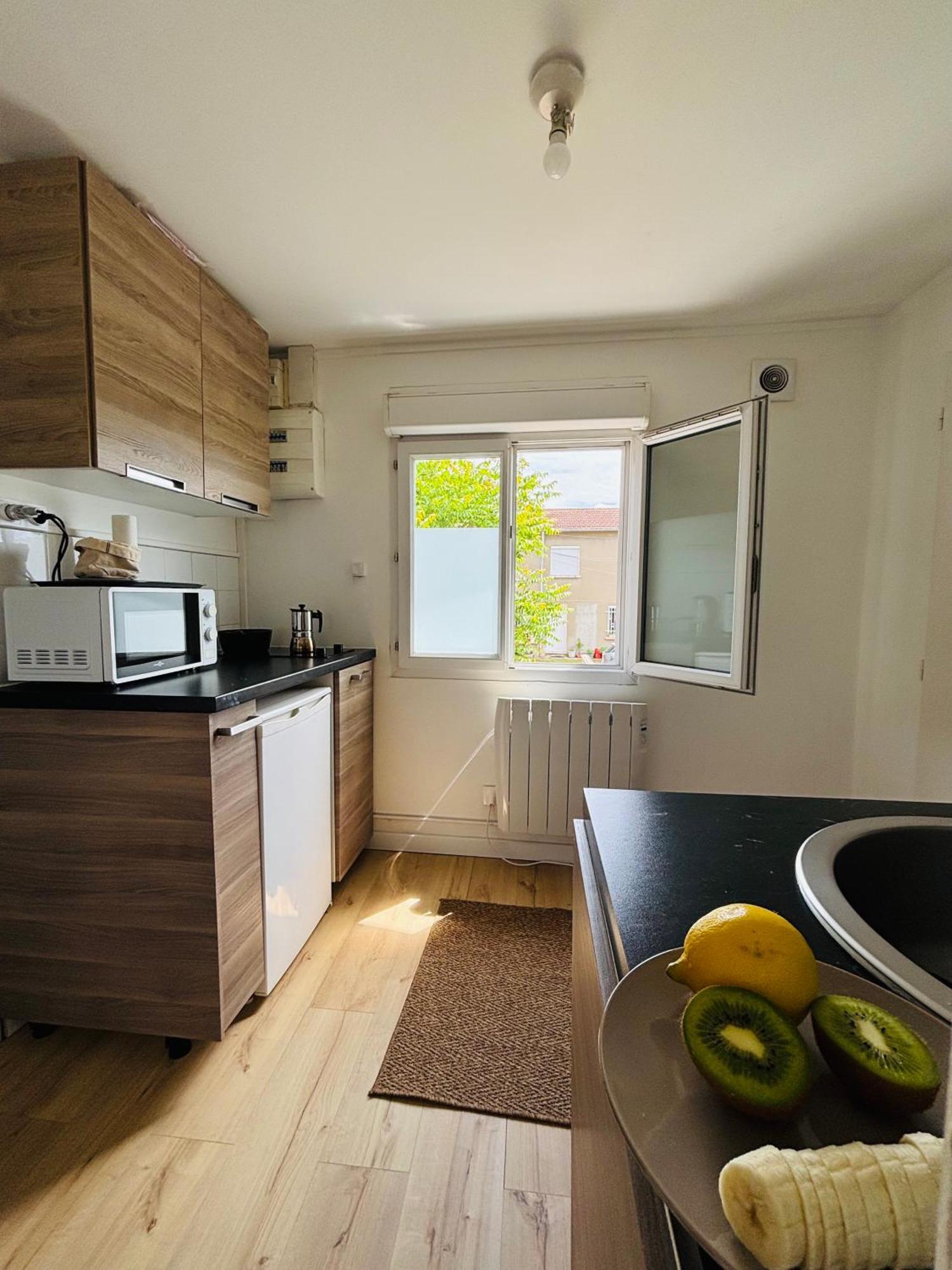 Appartement Avec Terrasse - Goupama Stadium, Eurexpo, Ldlc Arena, La Soie Во-ан-Велен Екстер'єр фото