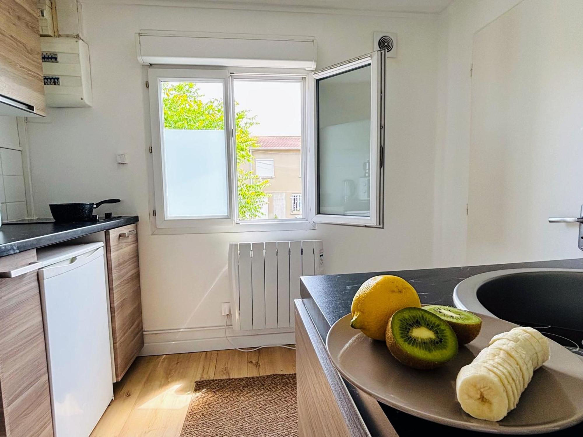 Appartement Avec Terrasse - Goupama Stadium, Eurexpo, Ldlc Arena, La Soie Во-ан-Велен Екстер'єр фото